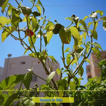 Holiday home House Lido *